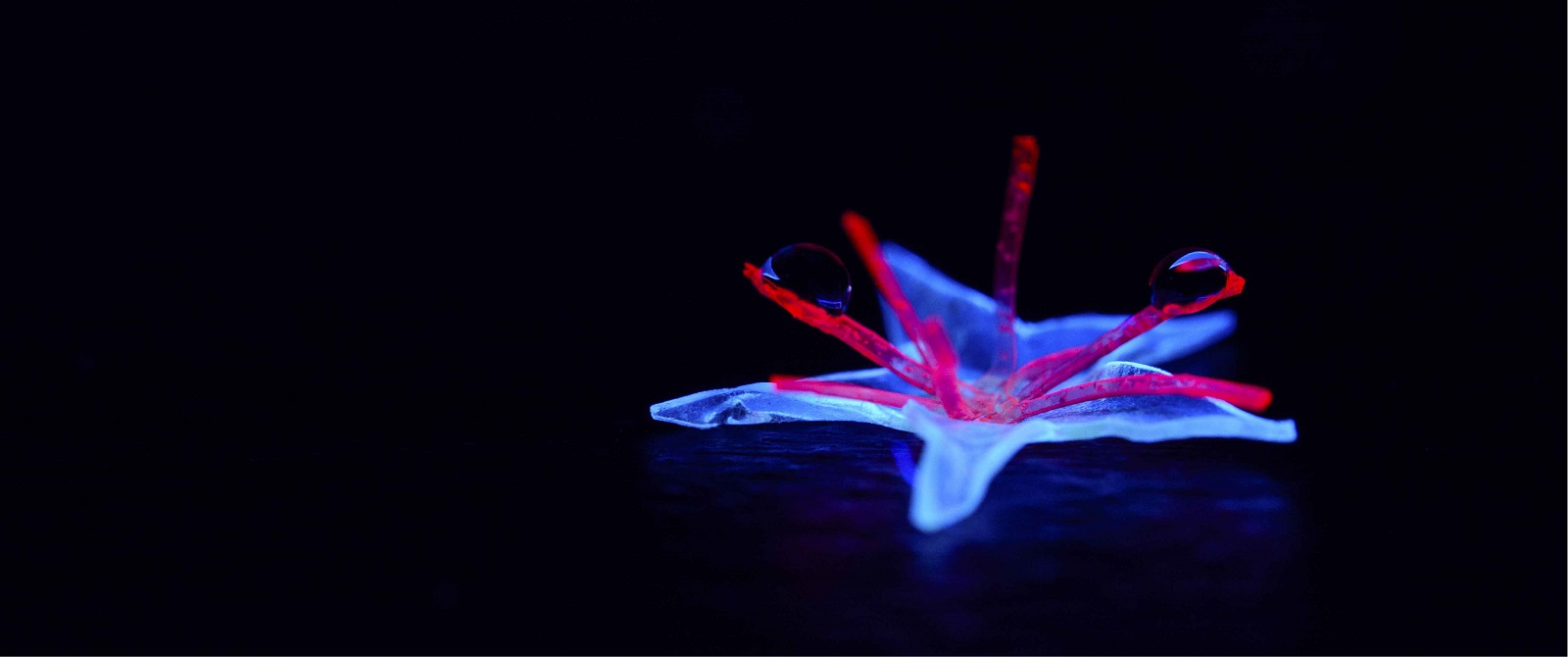 Module 1: Mechanically responsive materials